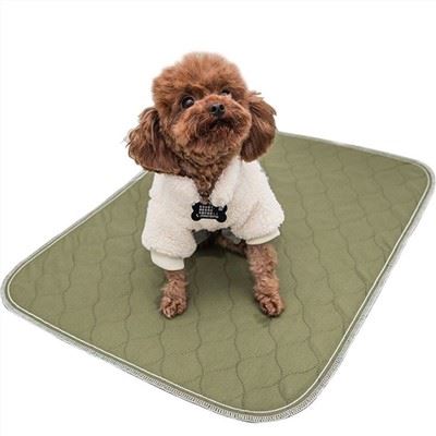 Hundetrainings-Urinkissen