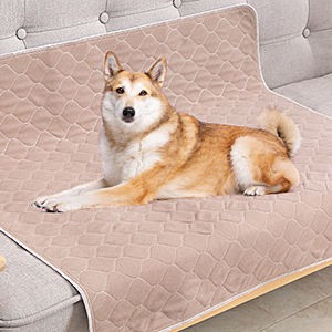 Hunde Urin absorbieren Pads